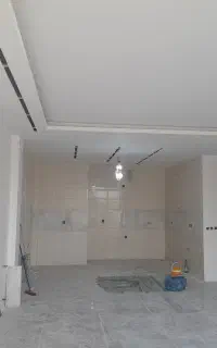 استخدام نیرو نقاش