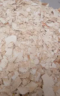 فروش نان خشک به صورت عمده