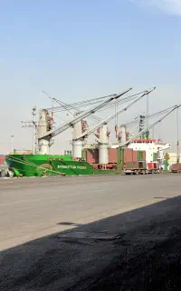 ترخیص، واردات و صادرات