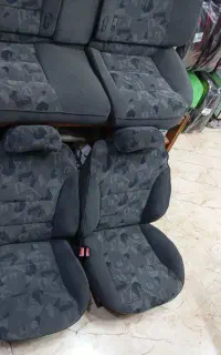 صندلی زانتیا خشک