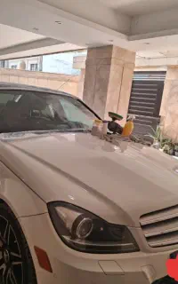 ترمیم سنگ خوردگی و ترک خوردگی شیشه خودرو
