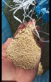 دانه سوپر