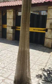 تور ماهیگیری کولی سالی فول دستبافت