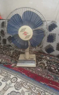 پنک