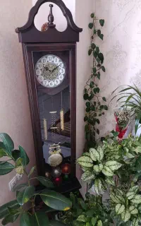 ساعت ایستاده