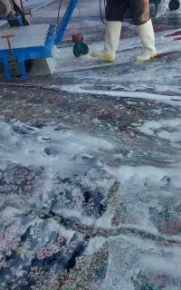 قالیشویی حرفه‌ای تحویل فوری باکیفیت قیمت منصفانه