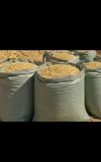 فروش کاه لوبیا