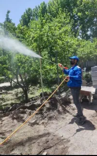 سمپاشی و باغبانی  گل آپارتمانی گلکاری هرس کردن