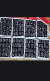 حرما محلی درجه یک یک