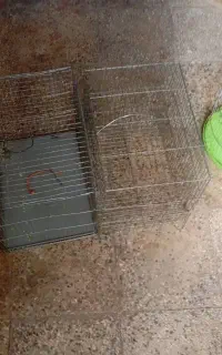 قفس