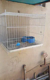 جفت کن