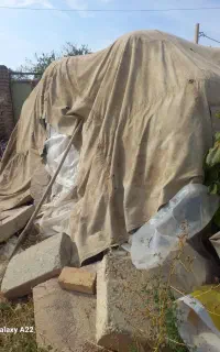 گاه عدس