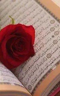 سرکتاب قران تک نیتی رایگان فال قهوه