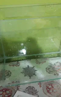 اکواریوم شیشه خم35 در20در30 حدودا