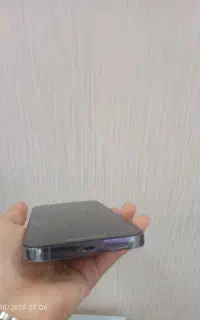 ۱۳ پرومکس