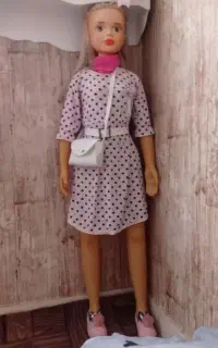 عروسک باربی خیلی شیک باکلاس