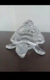 لاک پشت