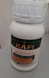 سم کافی ساس کش قوی بدون بو برا نابودی قطعی ساسها