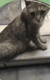 لطفا اول توضیحات بخونید.