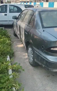 سمنددوگانه دست