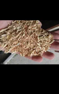 خرید گندم جو