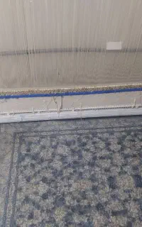 دارفروش ابریشم