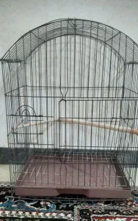 فروش قفس کاسکو