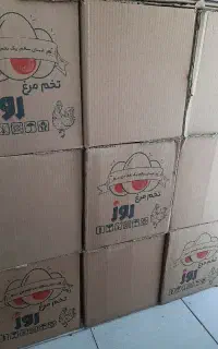 کارتن تخم مرغ