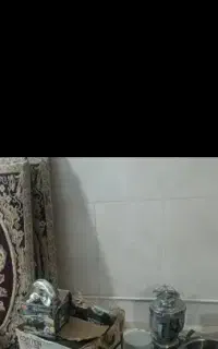 دوعدد پشتی