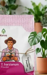 سلامت گیاهان کود زیستی تریکودرما کروا Kerva