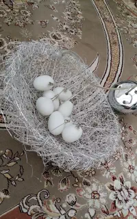 لوستر کاملا نو