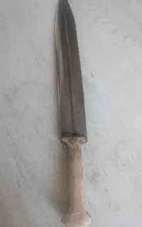 کلوکسیونی
