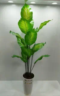 دیفن گل مصنوعی وارداتی