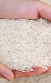 فروش تخصصی برنج هاشمی گیلان