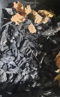 ذغال طاق