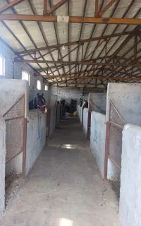 اجاره سوله باشگاه اسب سواری