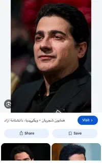 بلیط همایون شجریان