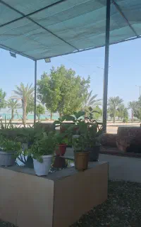 استخدام اشپز  تخت کار رستوران و خانم صندوق دار