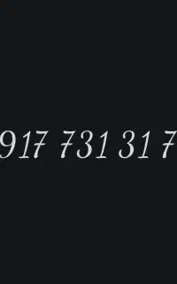 09177313171
