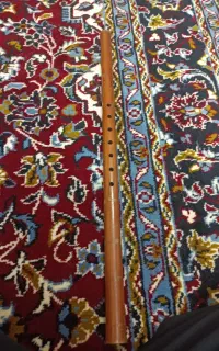 ساز نی