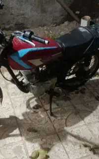 طلا