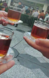 3عدد فیش موجوده