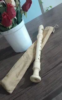 فلوت