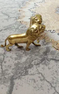 ترخینه