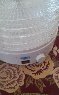 میوه خشک کن