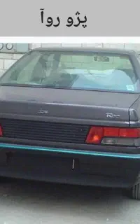روآ دوگانه شرکتی