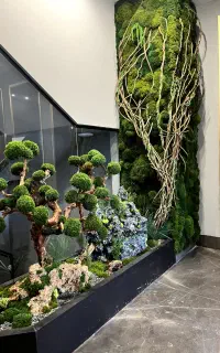 دیوار سبز خزه ای(ماس وال)