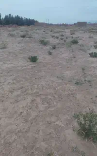 زمین فروشی بعد دانشگاه پیام نور