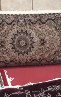 پشتی