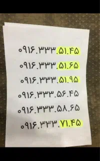 ۰۹۱۶۳۳۳۵۱۹۵